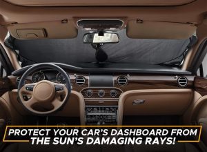 Best Windshields for Cars