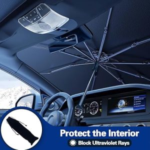Best Windshields for Cars