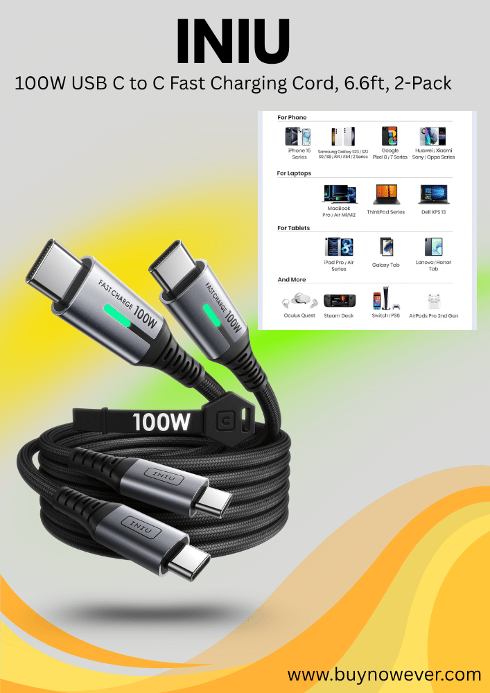 INIU USB C Cable 2-Pack 100W